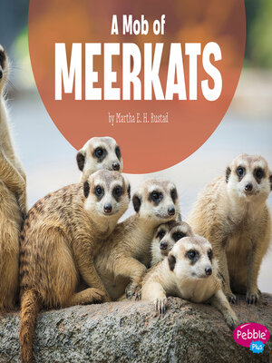 cover image of A Mob of Meerkats